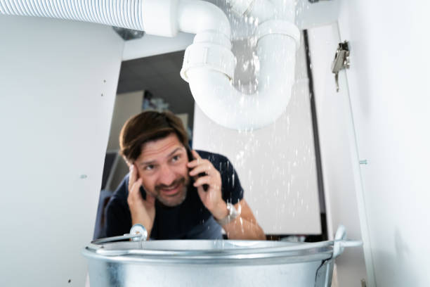 Best Sprinkler Systems  in Parma, ID