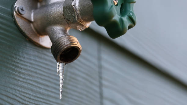 Best Local Plumber Services  in Parma, ID